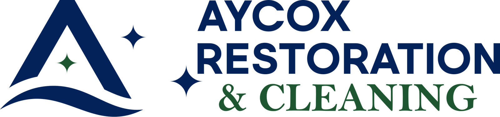 mold remediation and removal